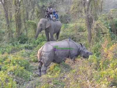 13 Days Discover Nepal Tour with Ghandruk Trek