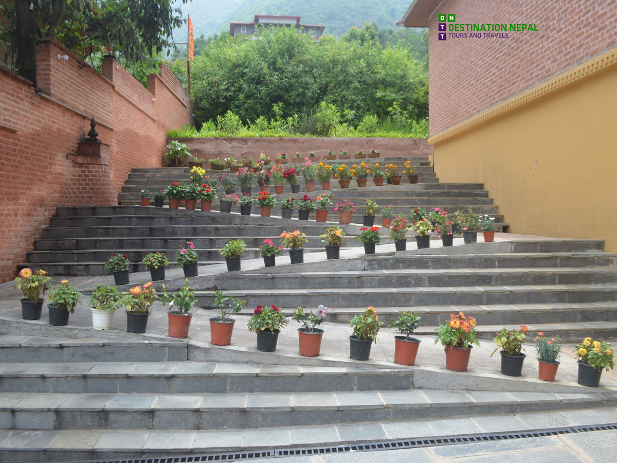 A Day Trip to Jungle Mahal Wellness Resort: Nature, Healing & Relaxation Near Kathmandu