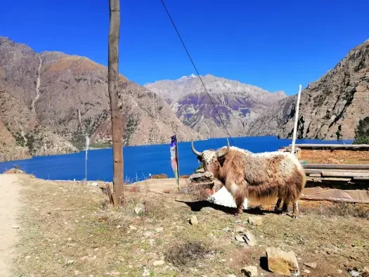The Dolpa Experience Circuit: Nepal’s Hidden Himalayan Treasure
