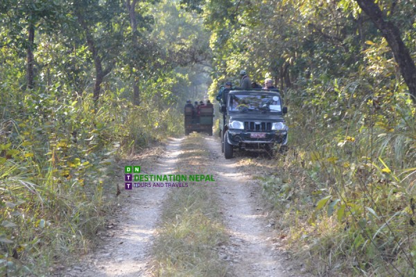 Discover Chitwan National Park: Nepal's Premier Jungle Safari Destination