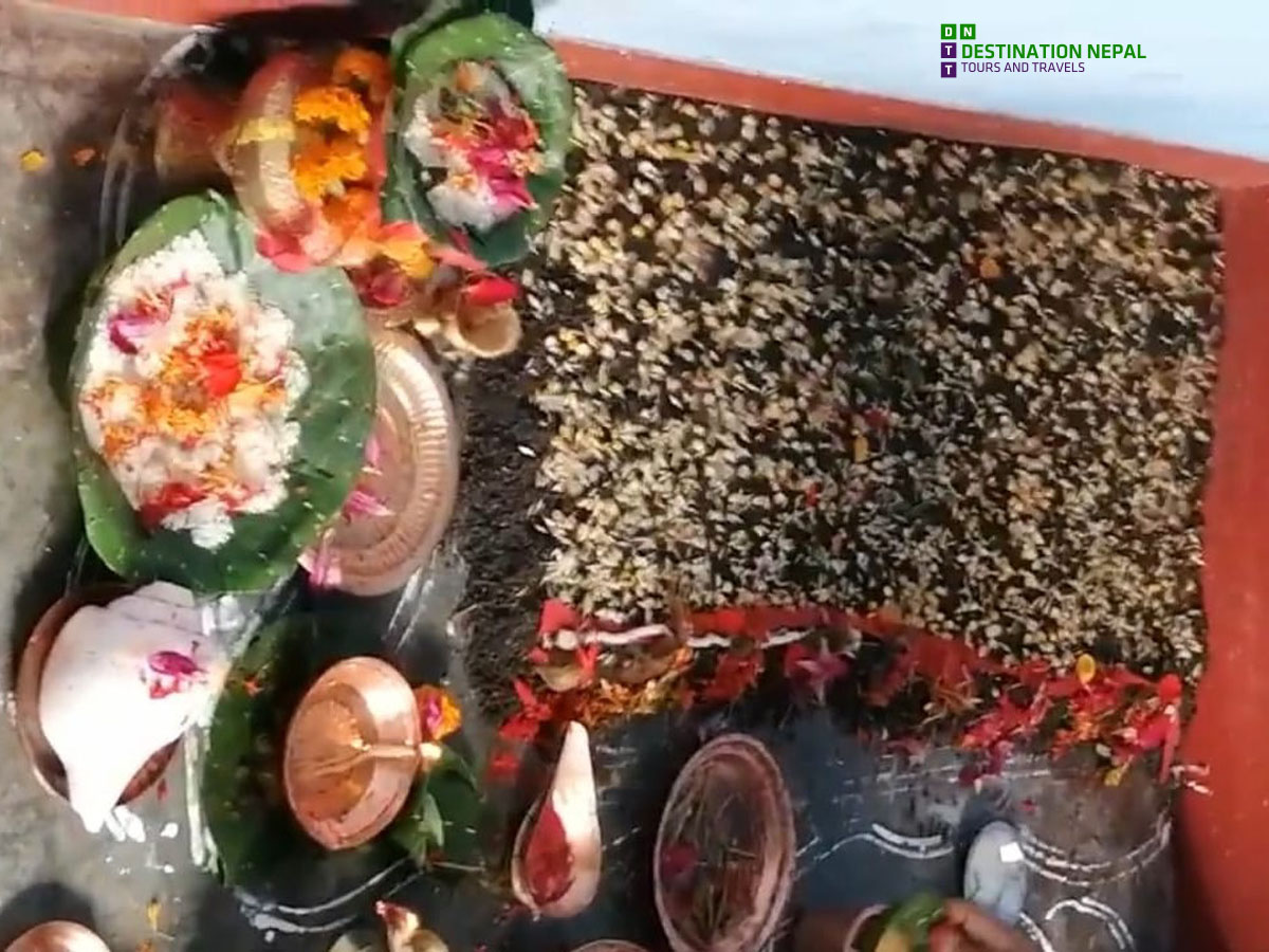 Dashain: Nepal’s Greatest Festival | 15 Days of Ritual, Reunion & Celebration